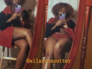 Bellarosepotter