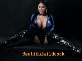 Beutifulwildcock