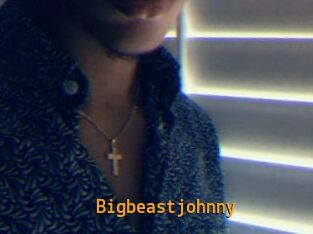 Bigbeastjohnny
