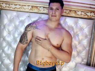 Bigboyvip