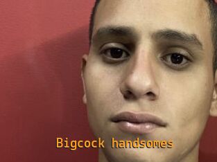 Bigcock_handsomes