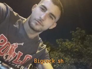 Bigcock_sh