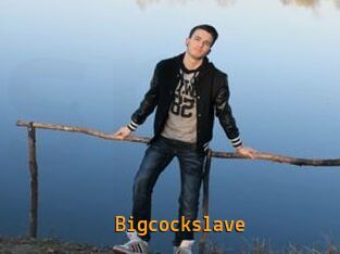Bigcockslave