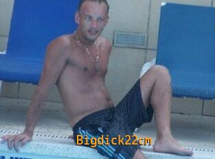 Bigdick22cm