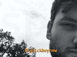 Bigdickboynew