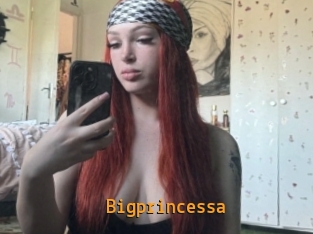 Bigprincessa