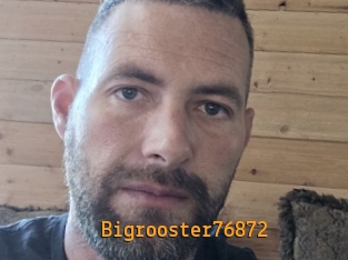 Bigrooster76872
