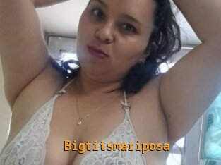Bigtitsmariposa