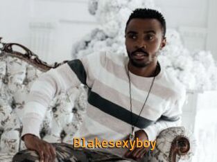 Blakesexyboy