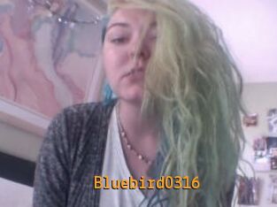 Bluebird0316
