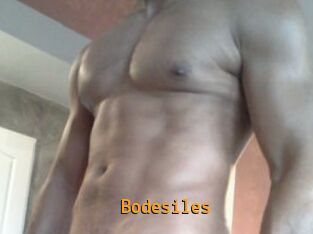 Bodesiles