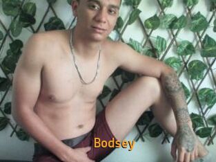 bodsey Sexcam Portal