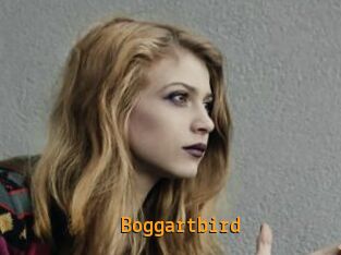 Boggartbird