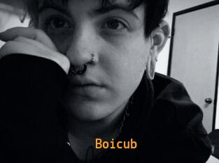 Boicub