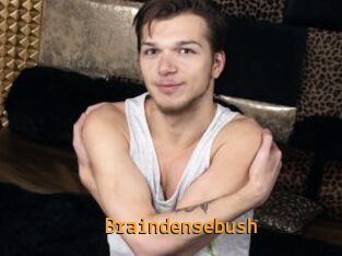 Braindensebush