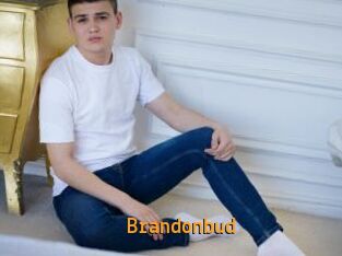 Brandonbud