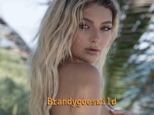 Brandygoeswild