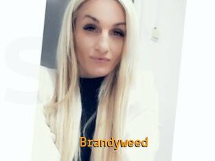 Brandyweed