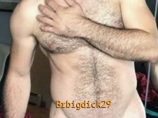 Brbigdick29