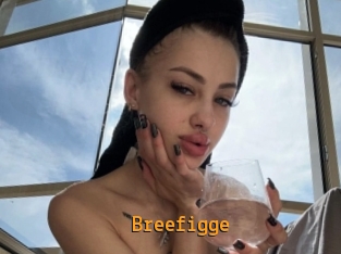breefigge Sexcam Portal