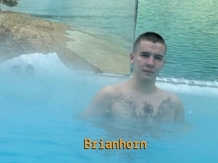 Brianhorn
