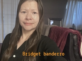 Bridget_banderro