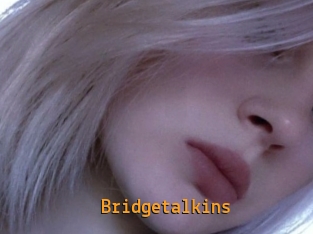 Bridgetalkins