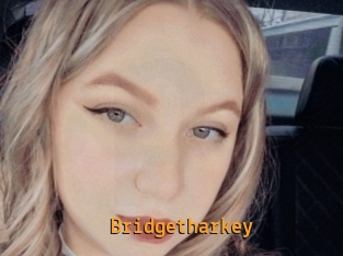 Bridgetharkey