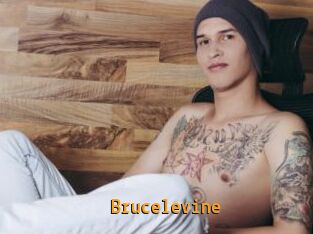 Brucelevine