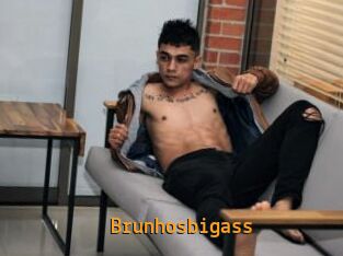 Brunhosbigass