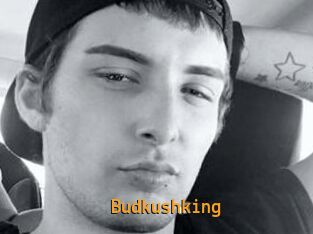 Budkushking
