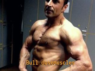 Bull_dosemuscles