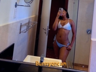 Bunnyoncam