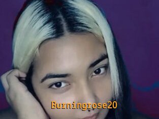 Burningrose20