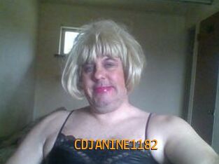 CDJANINE1182