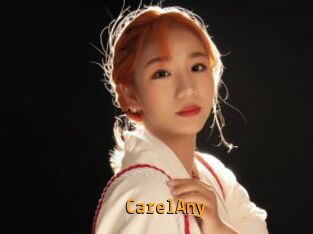 CarelAny