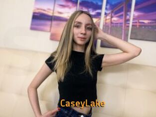 CaseyLake