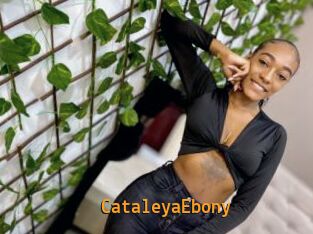 CataleyaEbony