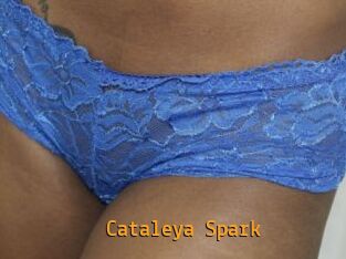 Cataleya_Spark