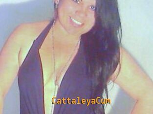 CattaleyaCum