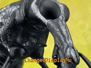 ChangedDisplayNu