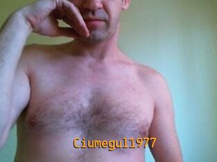 Ciumegul1977