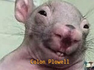 Colon_Plowell