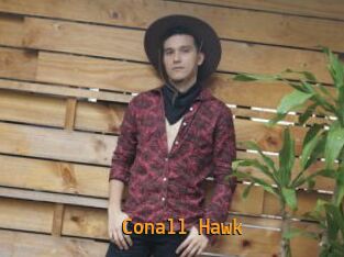 Conall_Hawk