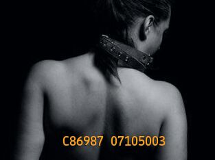 C86987-07105003