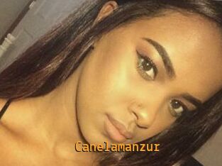 Canelamanzur
