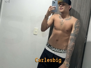 carlesbig Sexcam Portal