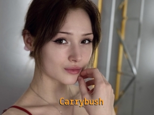Carrybush