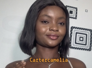 Cartercamelia
