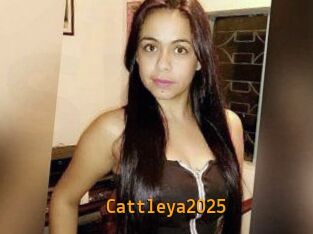 Cattleya2025